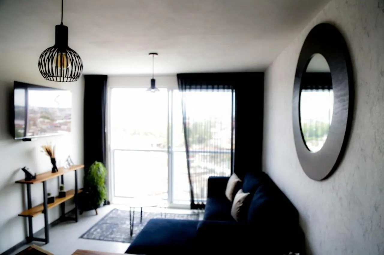 Comfort Flat In Guadalajara México